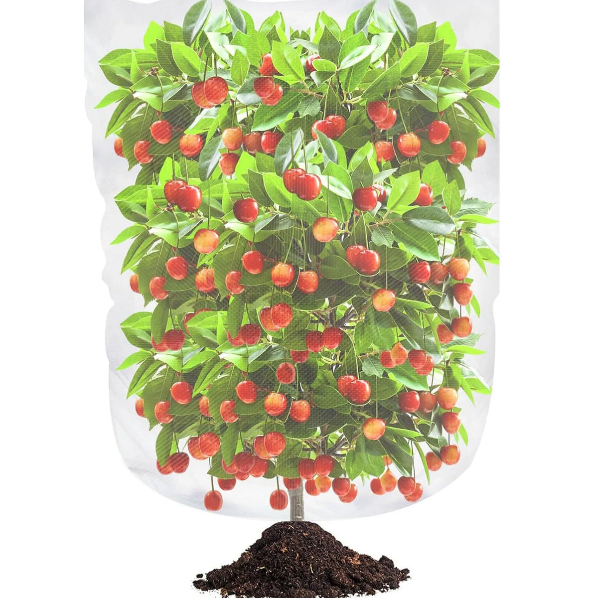 Plant Protection Bag Garden Netting Cover with Zipper Drawstring Garden Insect Netting Transparent Bird Plant Barrier Screen
